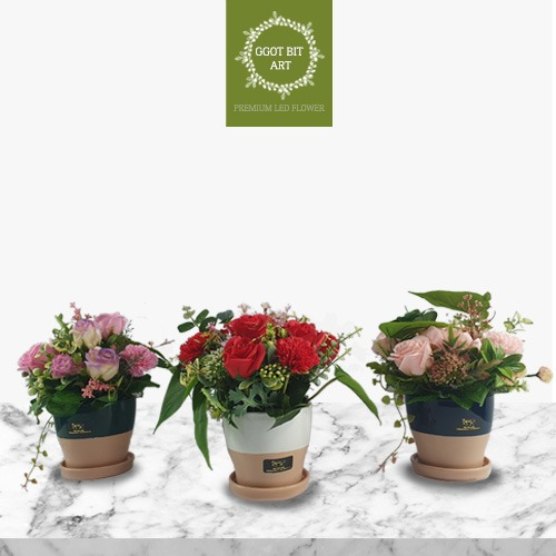 장미카네이션 비누꽃 꽃조명 3가지 (GBASO2120)